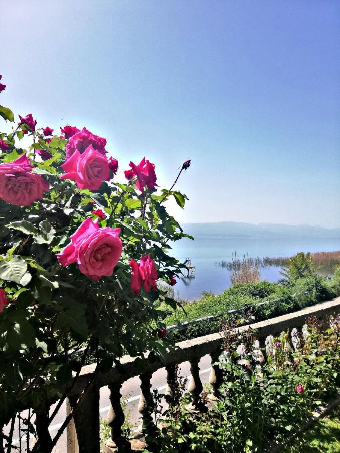 Villa Stefan Ochrid Exteriér fotografie