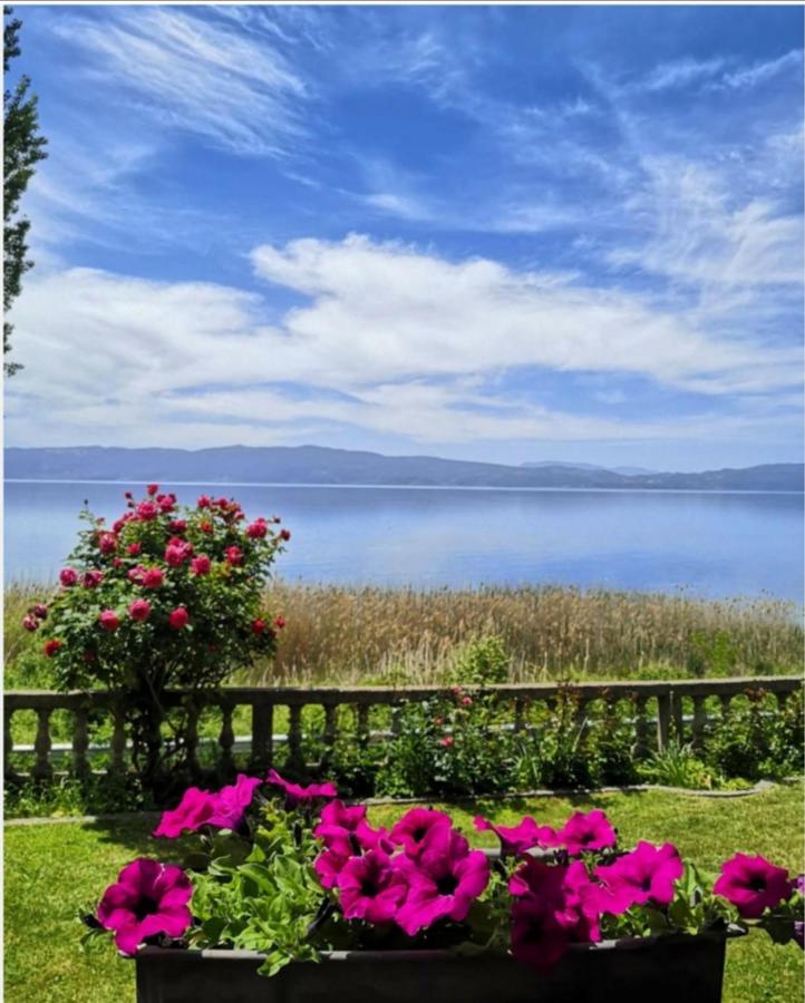 Villa Stefan Ochrid Exteriér fotografie